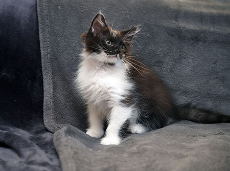 Qualimero am 05.07.2025